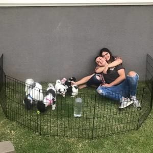 Meet your Posher, Karla m.